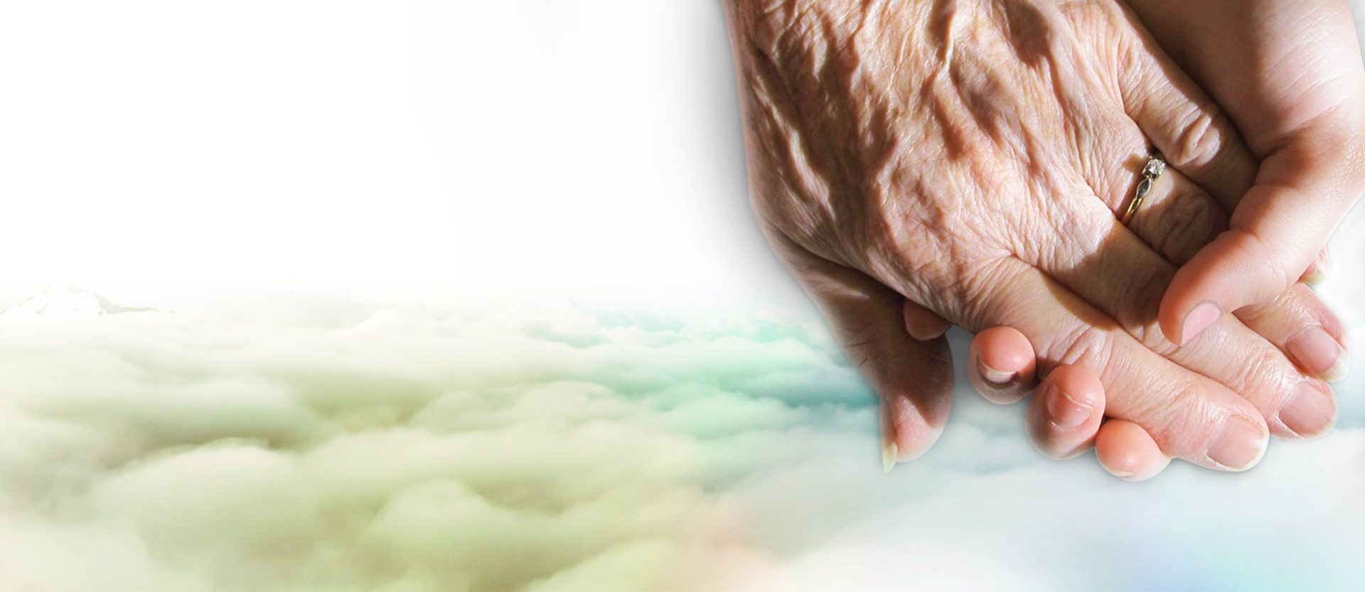 Eleanor-Gaccetta-HOMEPAGE-2_02-1