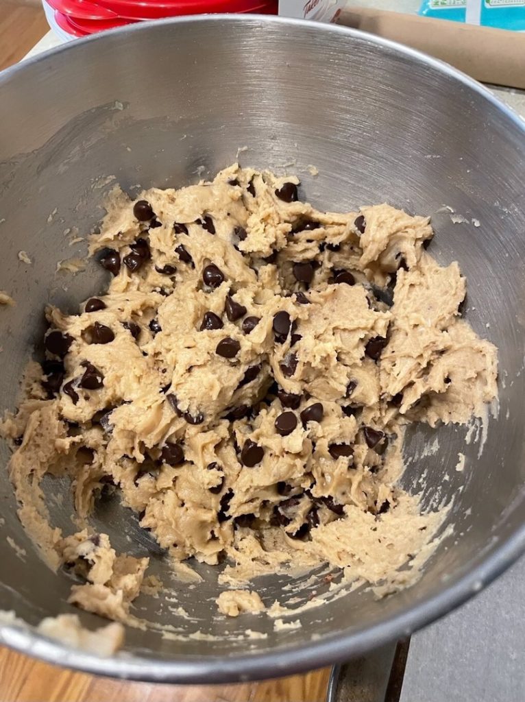 Vegan Chocolate Chip Cookie 1