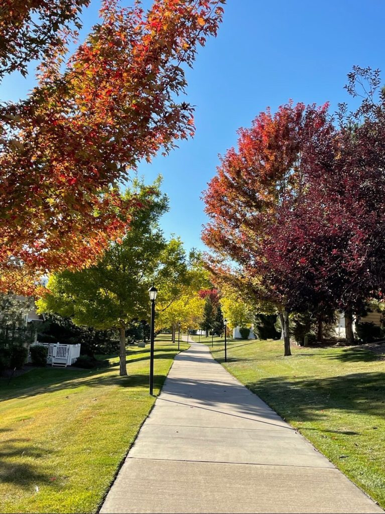 A sidewalk lined with colorful trees in autumn