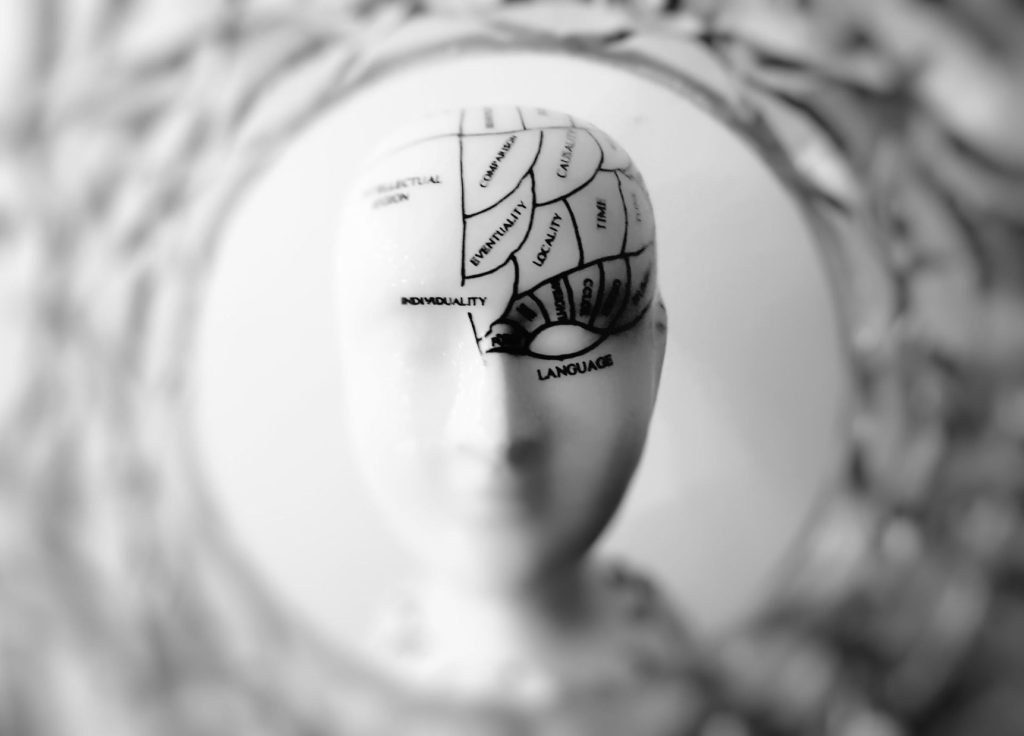 A plastic bust with different labels on the head.